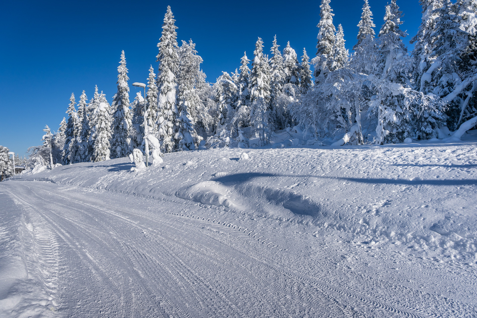 Tonttia tieltä päin.