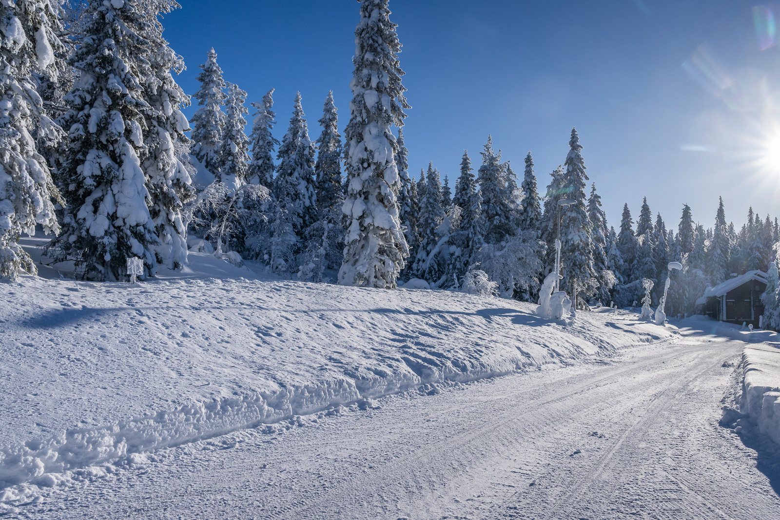 Tonttia tieltä päin.
