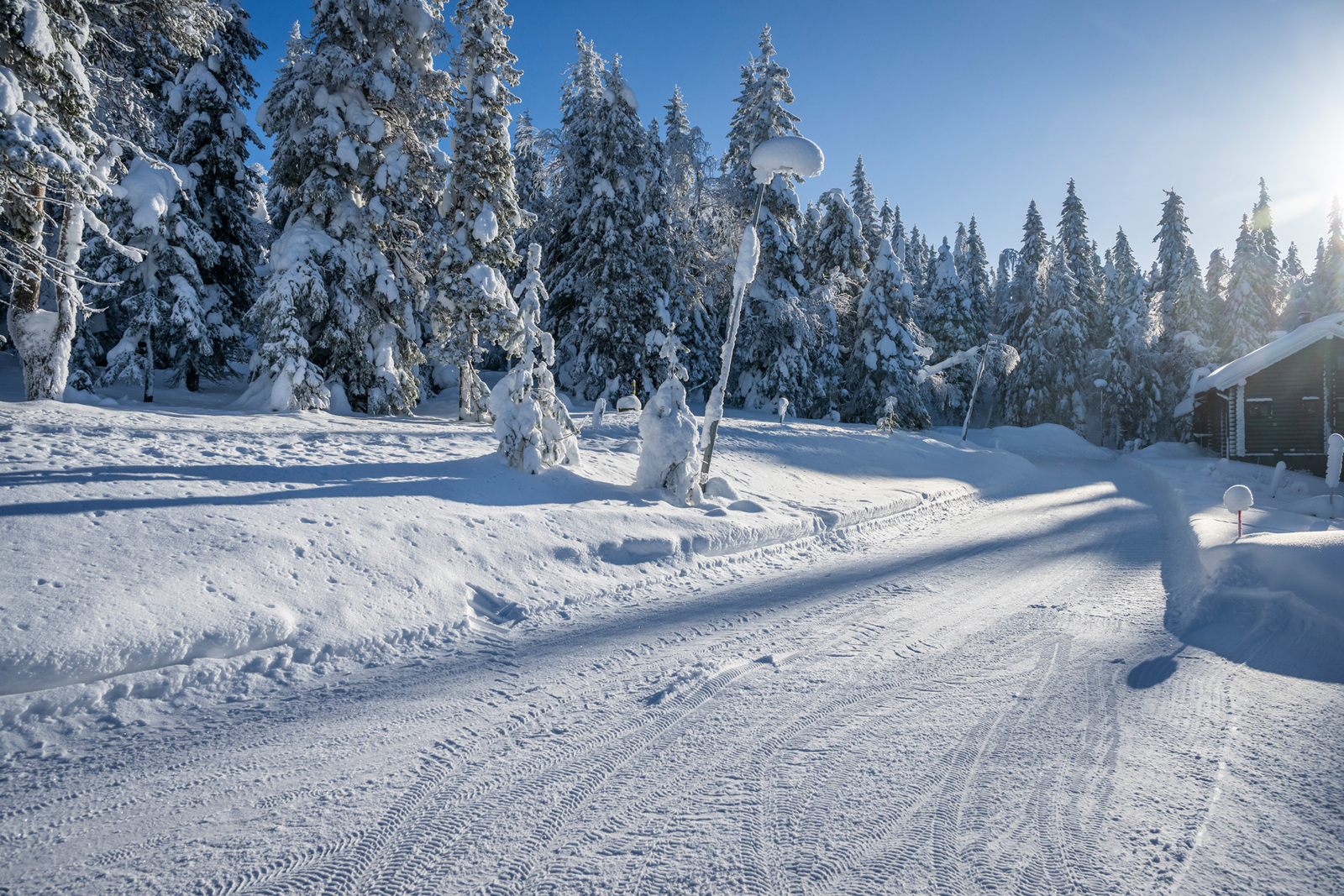 Tonttia tieltä päin.