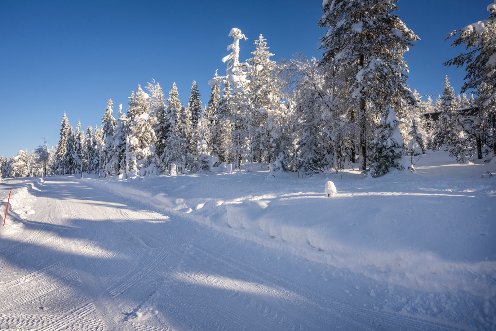 Tonttia tieltä päin.