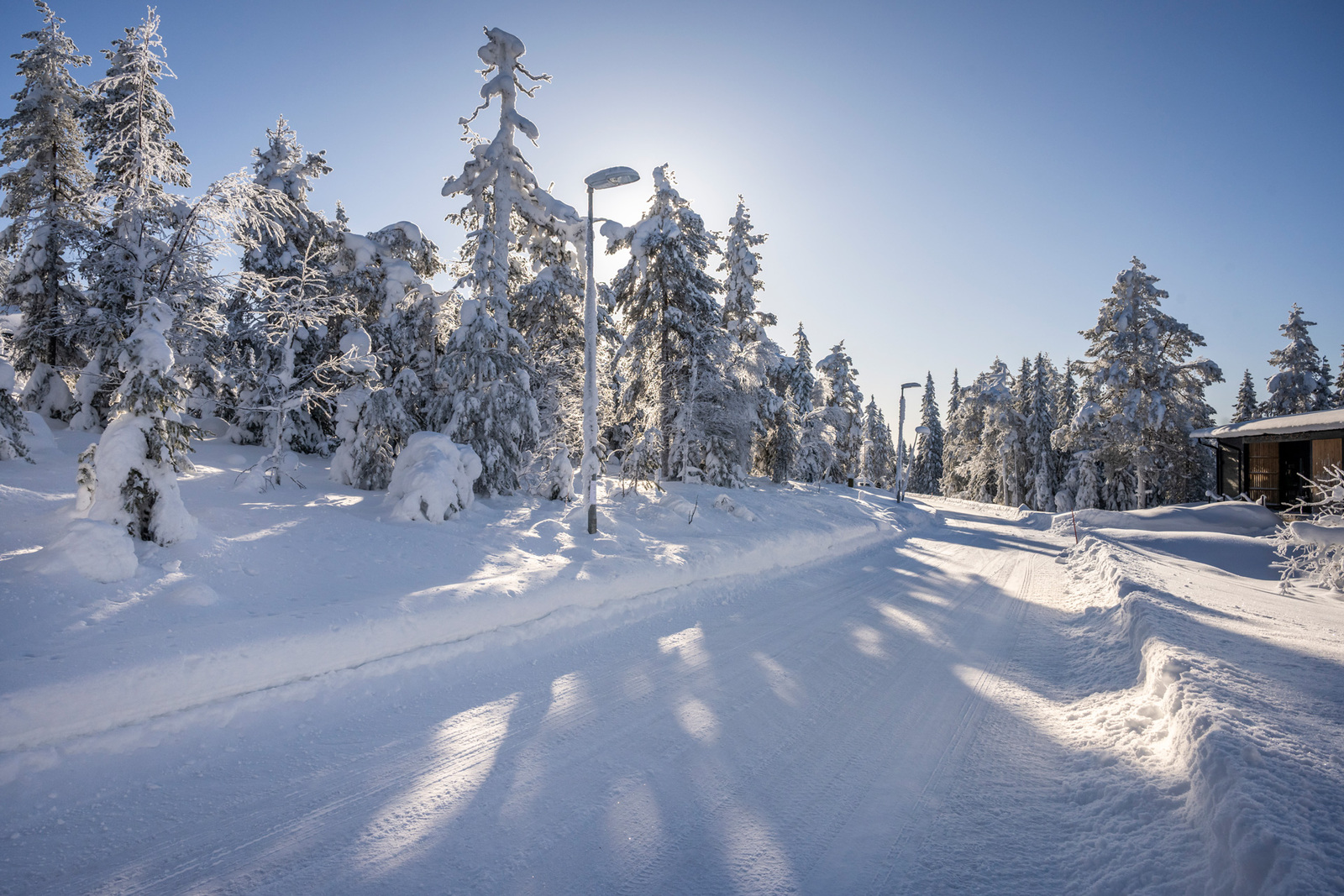 Tonttia tieltä päin.
