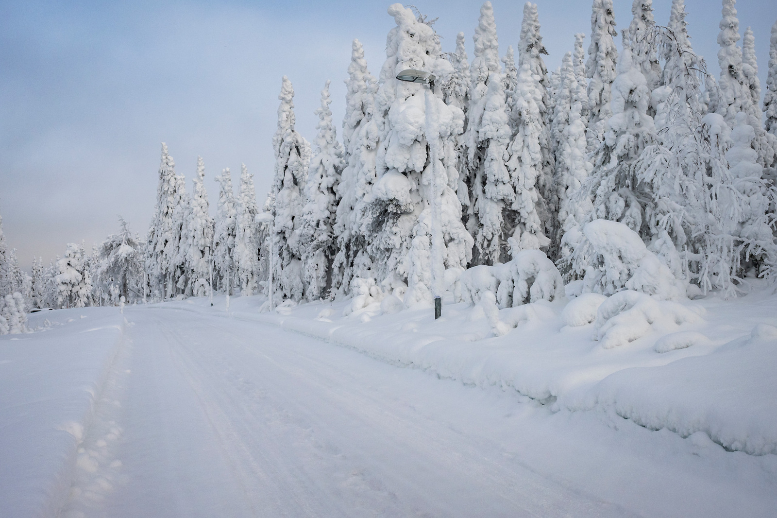 Tonttia tieltä päin.