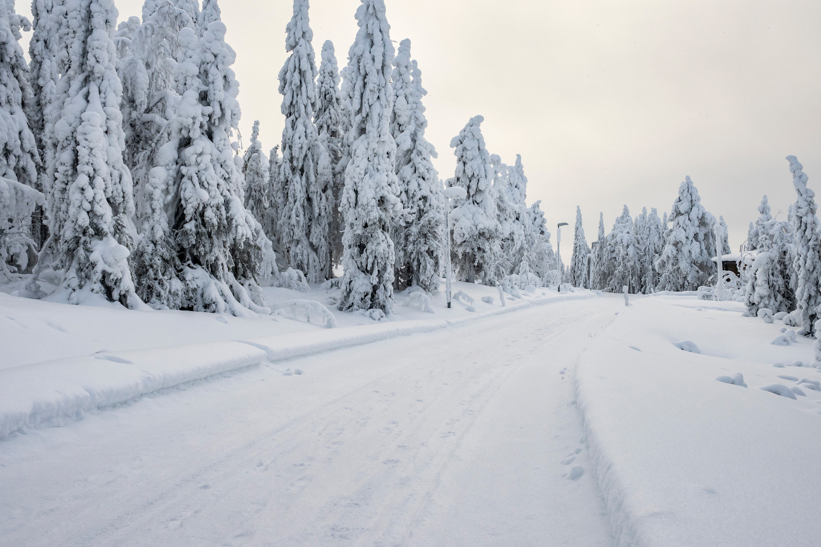 Tonttia tieltä päin.