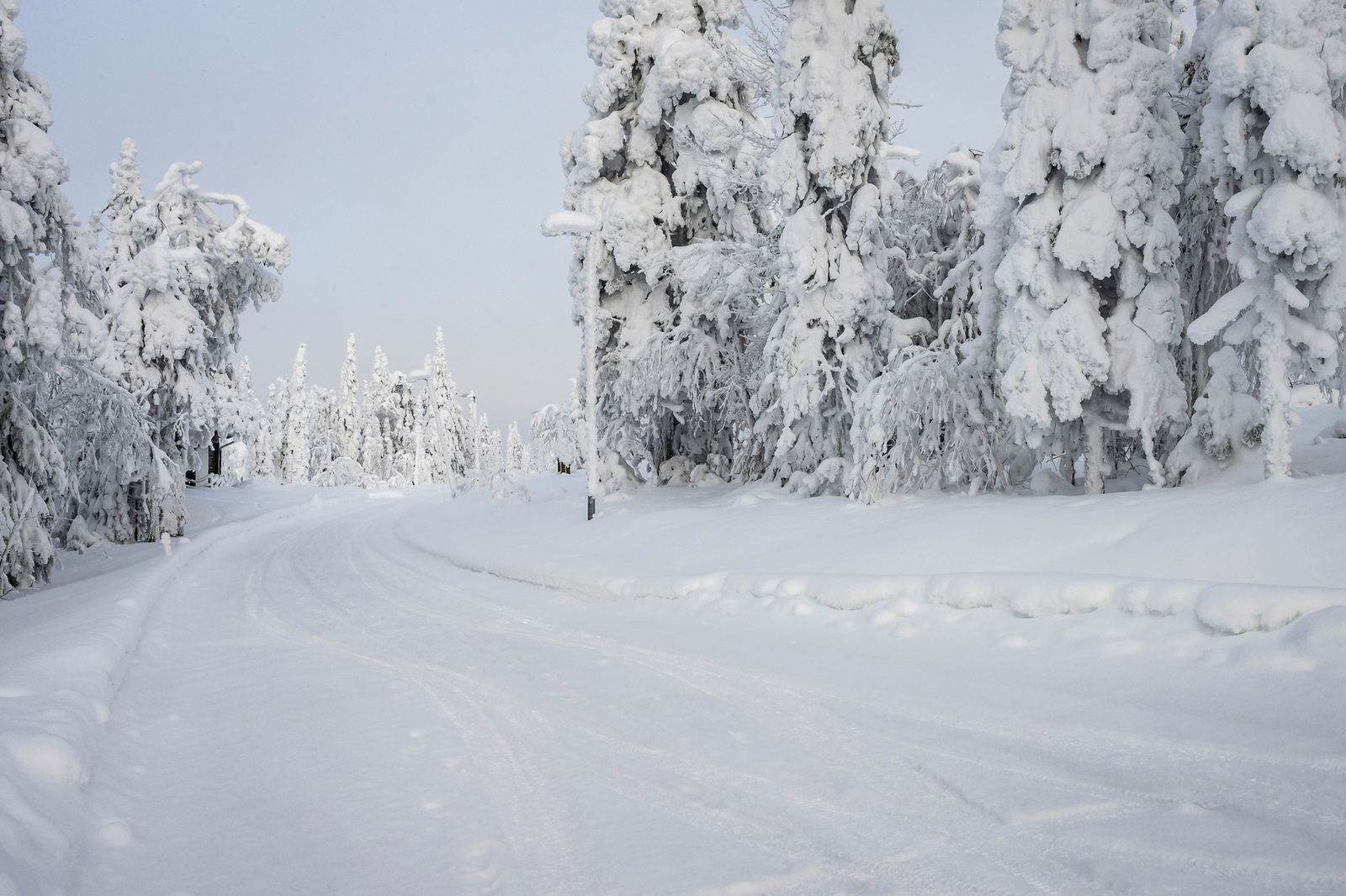 Tonttia tieltä päin.