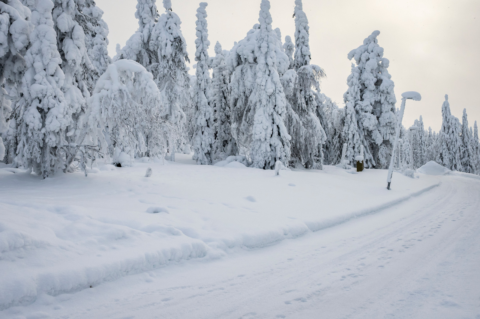 Tonttia tieltä päin.