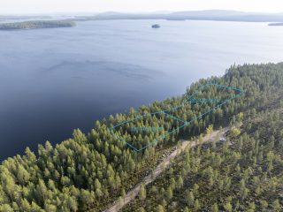 Ilmakuva tontista. Tontin kiinteistönumero 320-403-56-17