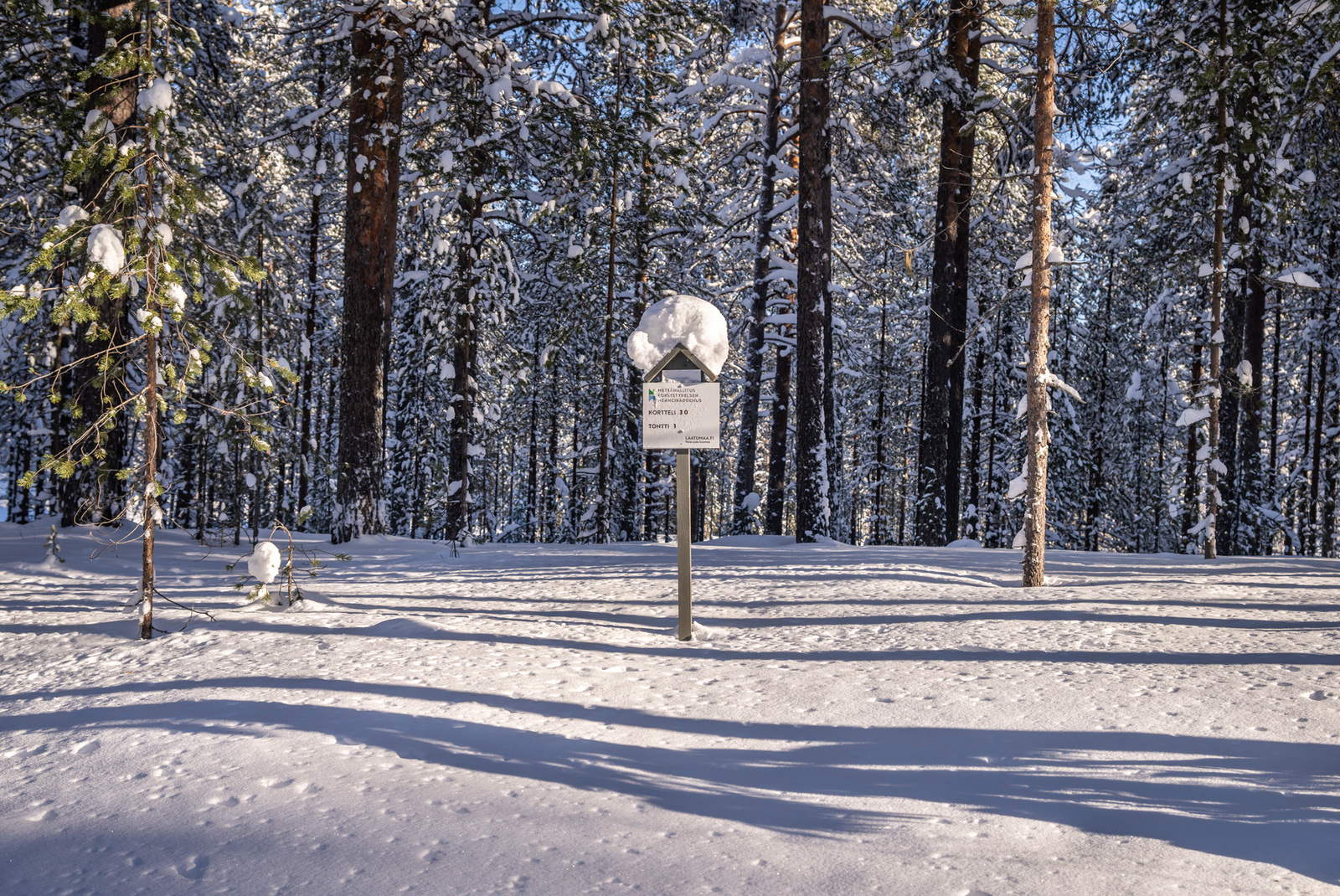 Talvinen kuva tontista tieltä päin.