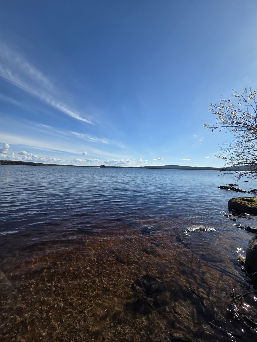 Kuva rannasta.