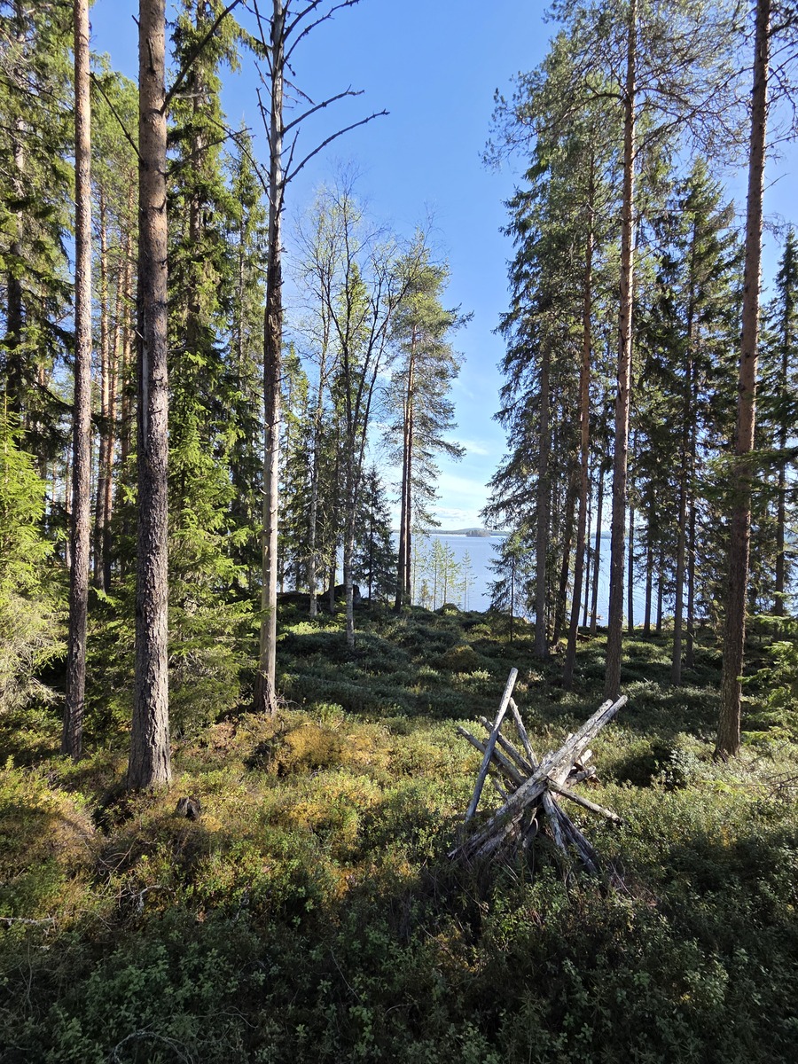 Kuva tontilta rantaan päin.