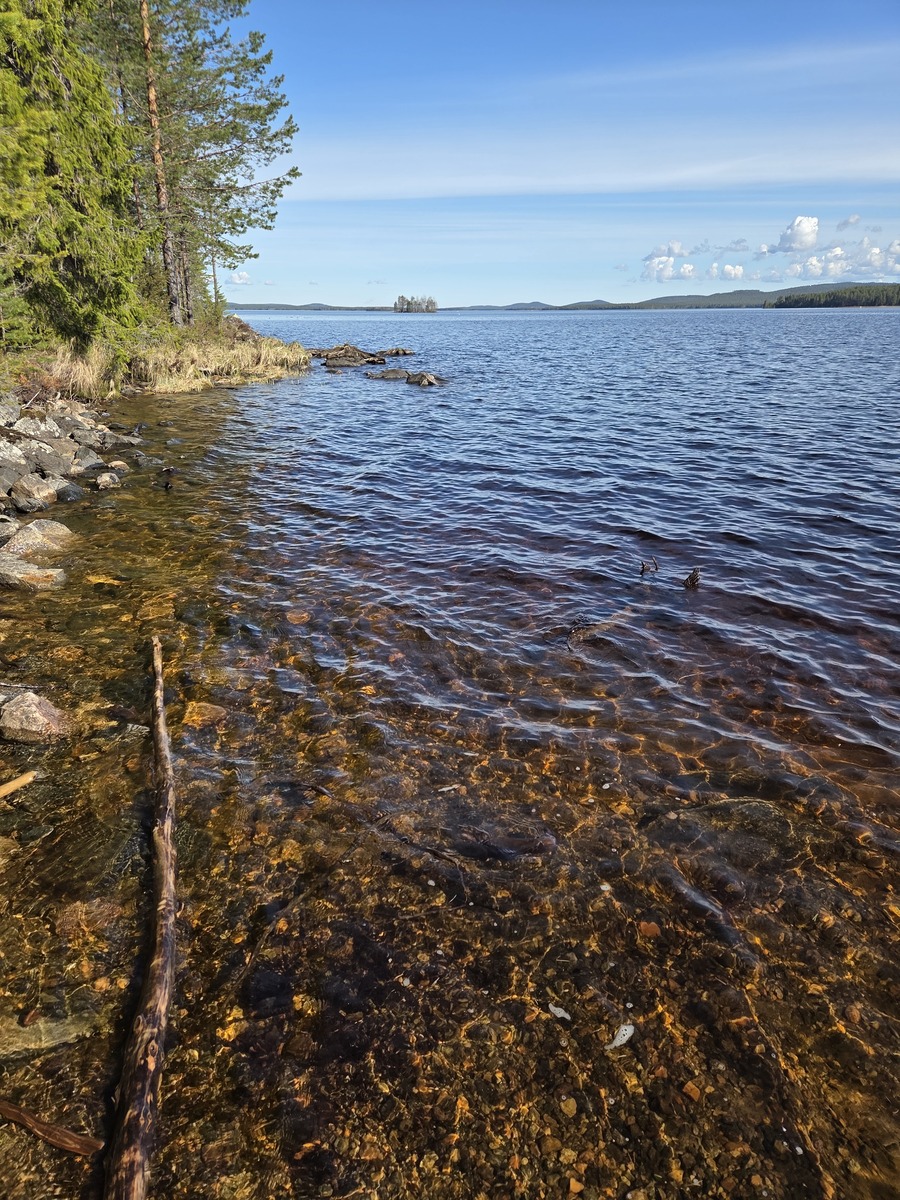 Kuva rannasta. Sorapohja