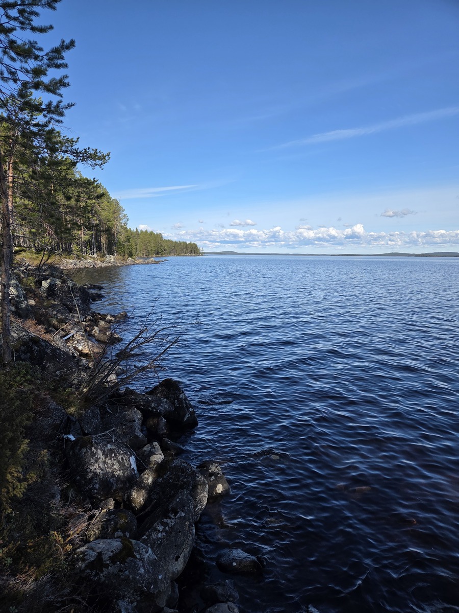 Kuva tontin rannasta järvelle. Kivinen ranta.