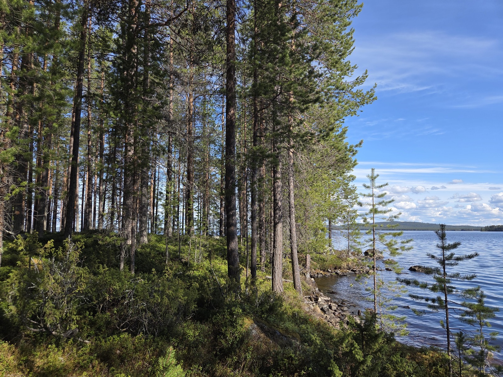 Tonilta on kaunis näkymä järvelle.