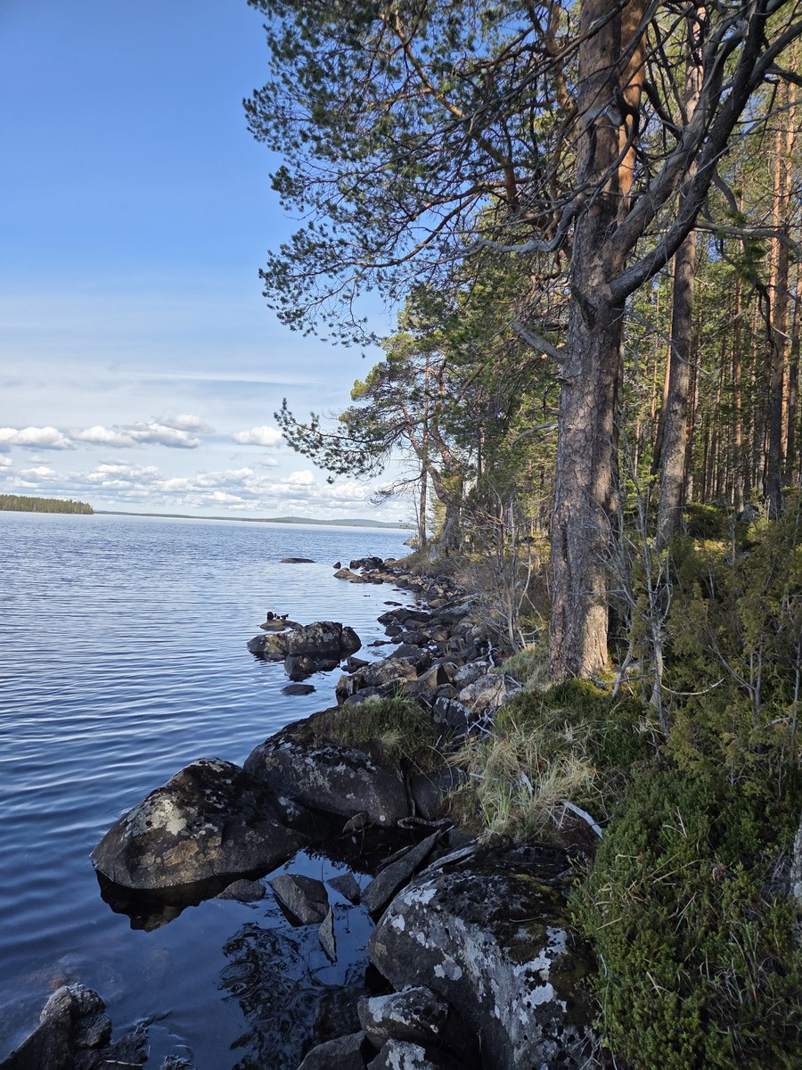 Ranta on kivinen.