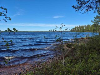 Vaahtopäinä laineileva Laakajärvi, tontin rannassa on paljon pieniä kiviä.