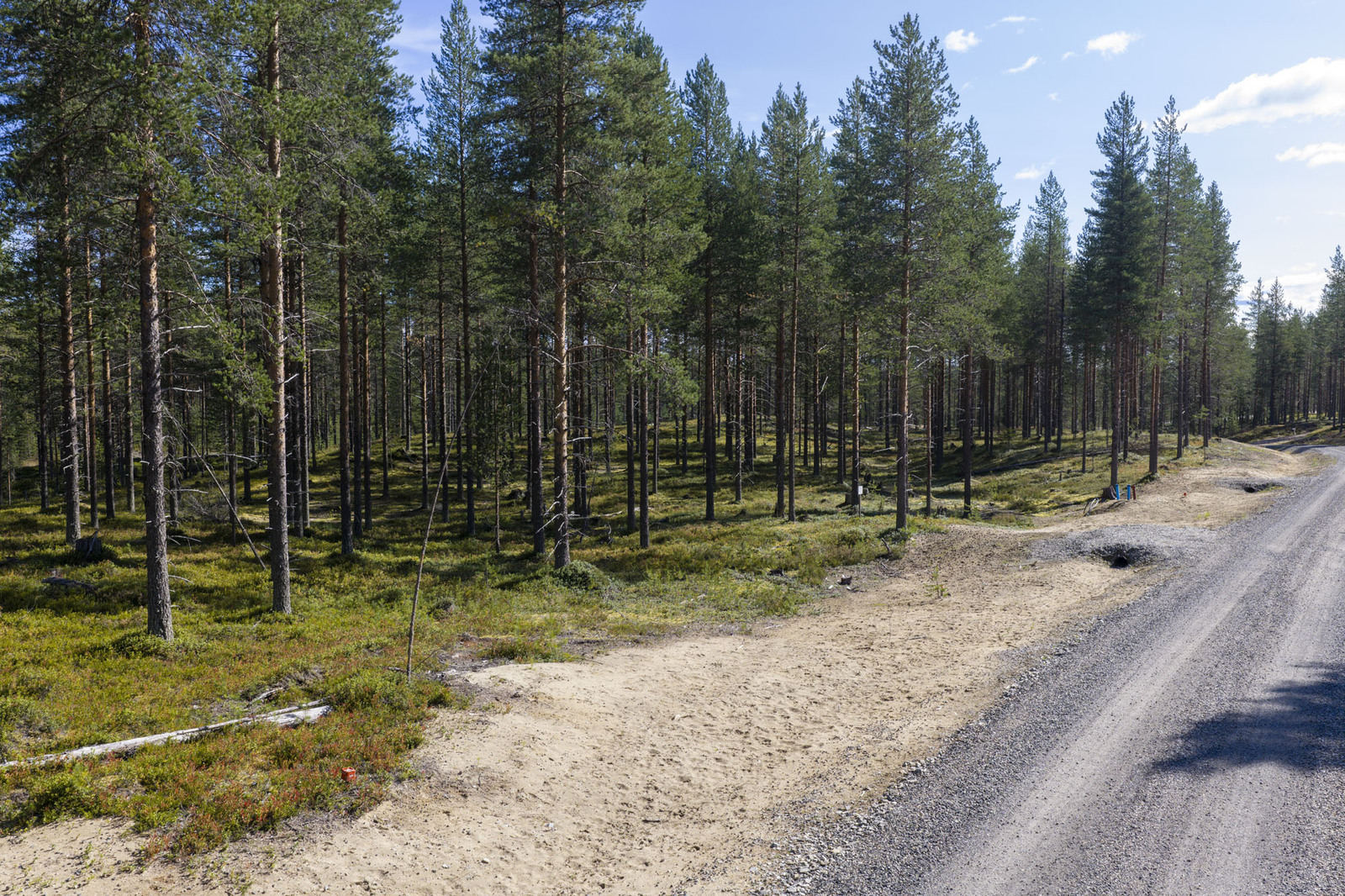 Tieltä on rakennettu liittymä tontille.