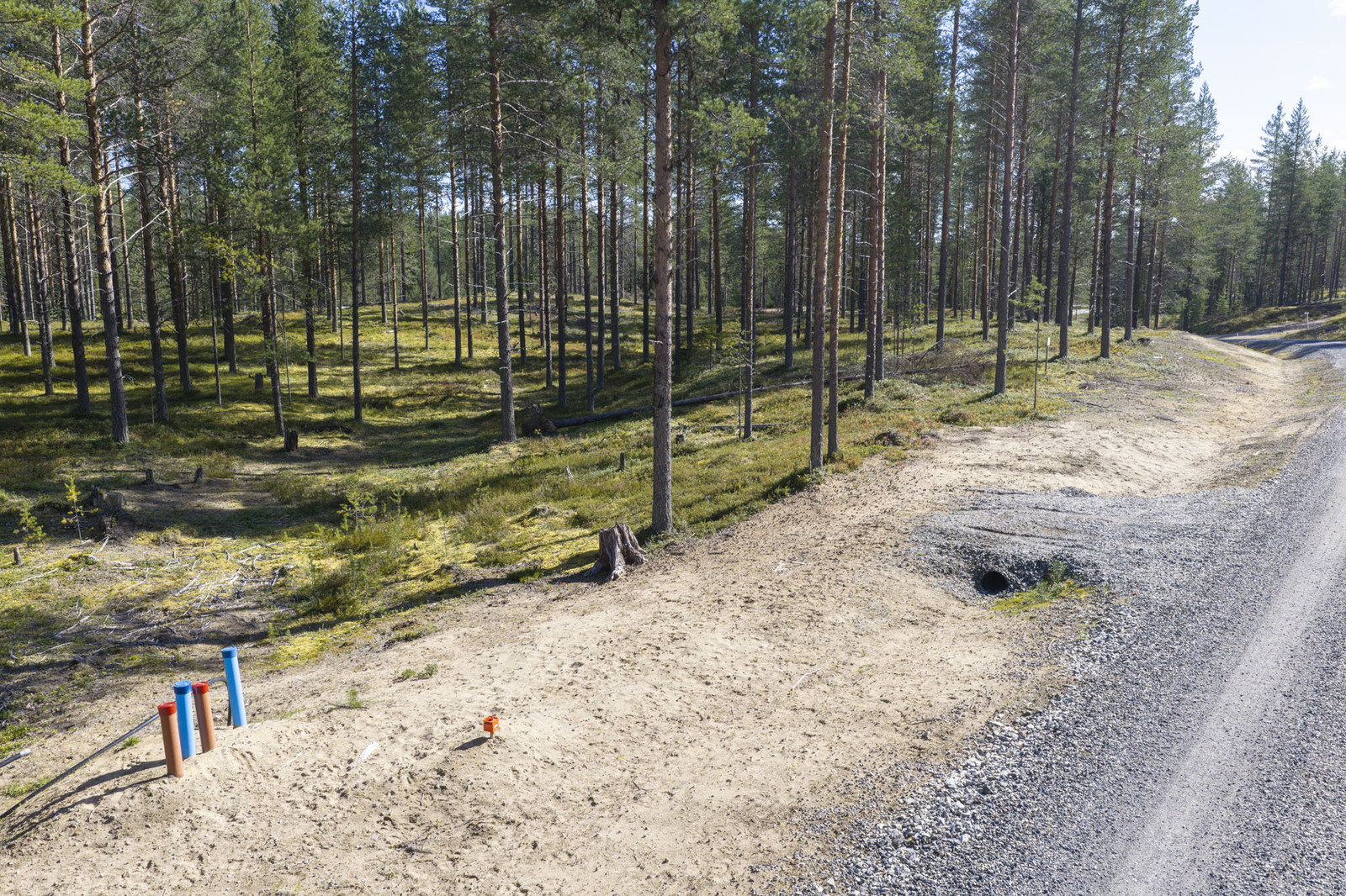 Tieltä on liittymä mäntykankaiselle tontille.