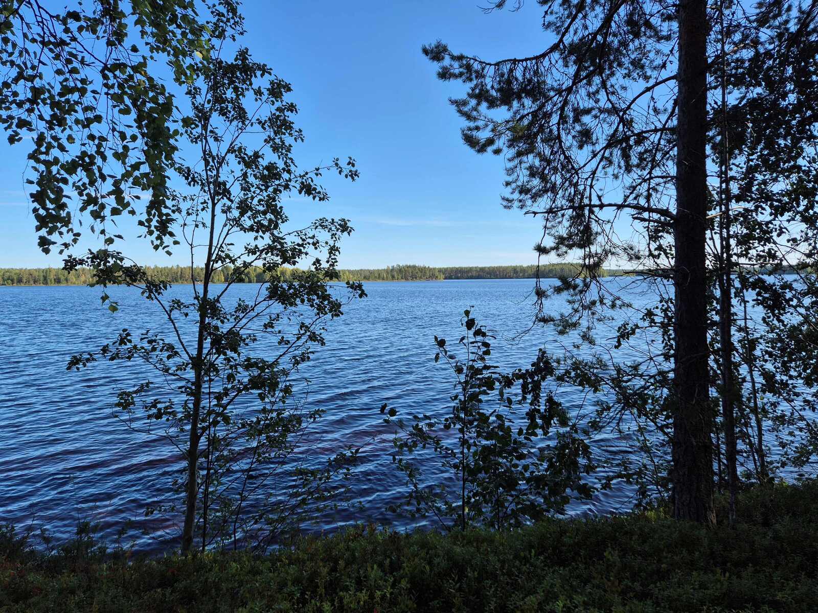 Aurinko paistaa järvellä, etualalla rannan puut ovat varjossa.