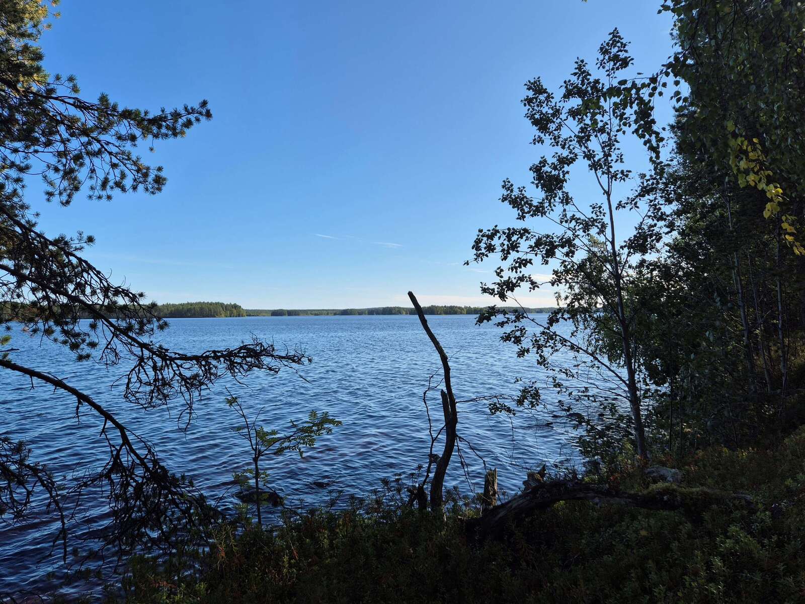 Aurinko paistaa järvellä, etualalla rannan puut ovat varjossa.