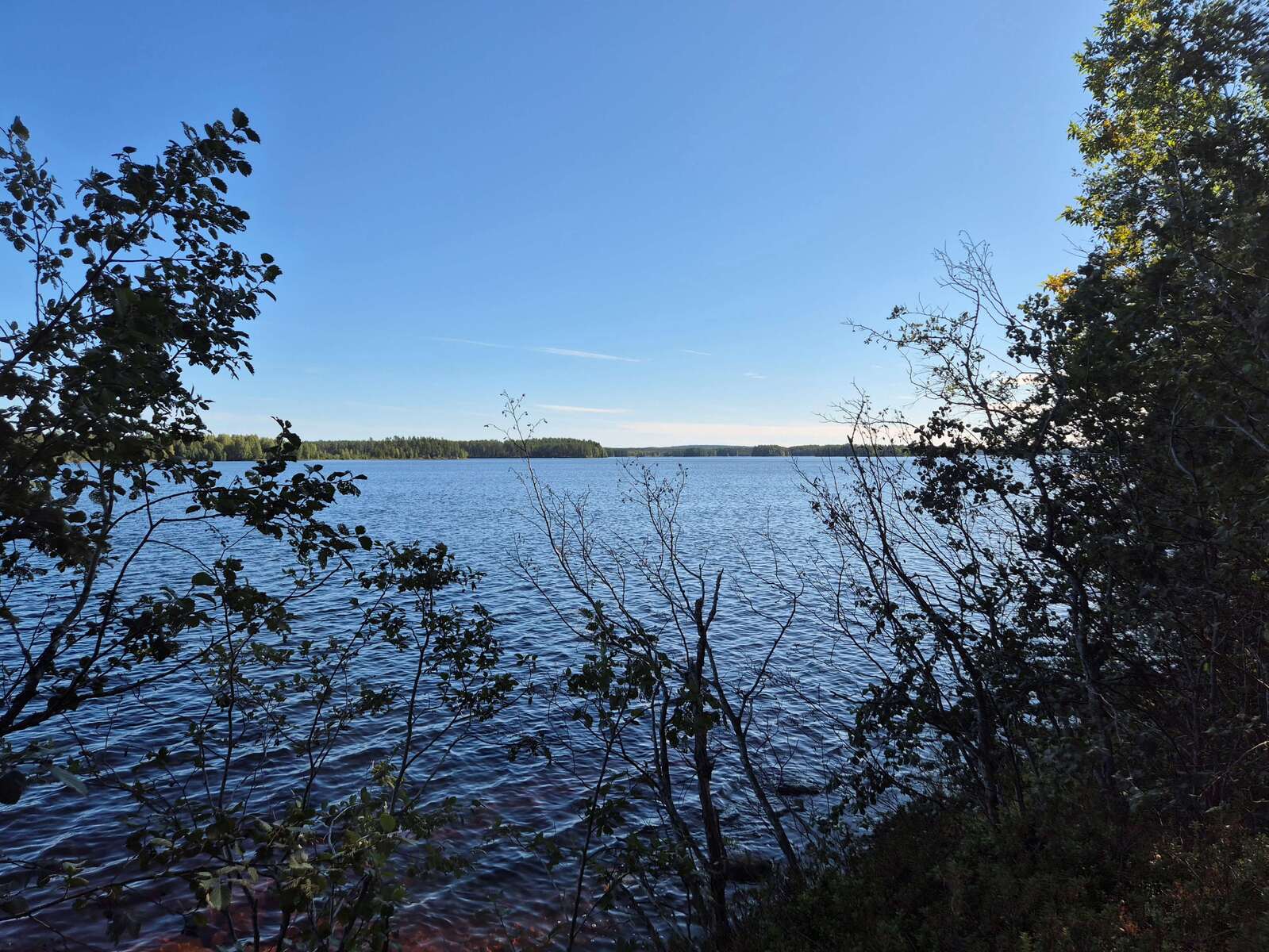 Maisema järvelle, rannan puusto on varjossa, kaukana näkyy vastaranta.