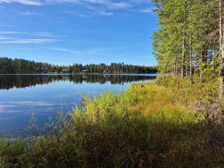 Aurinko paistaa ruovikoituneeseen rantaan, järven pinta on peilityyni, kauempana näkyy vastaranta.