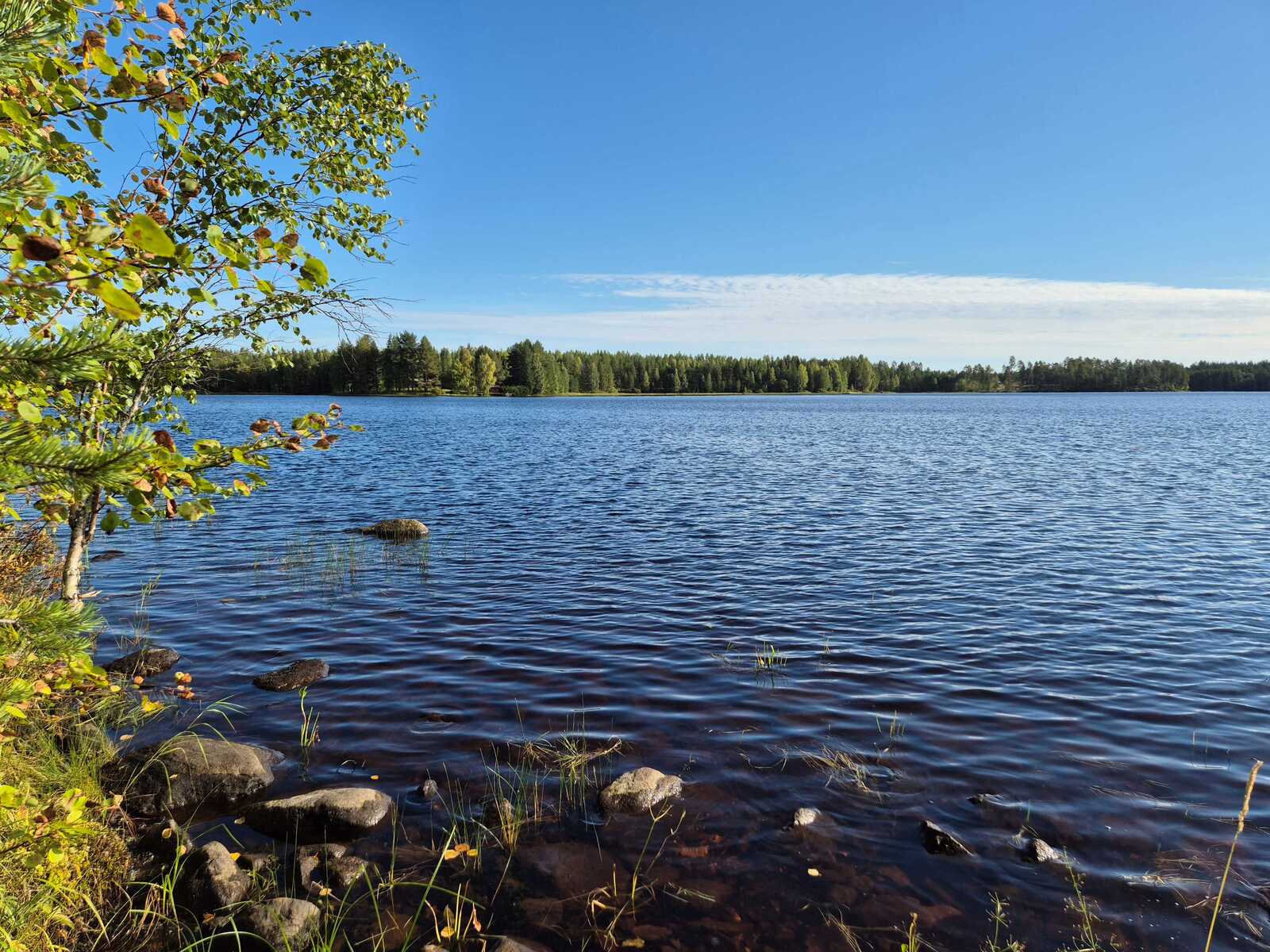 Järven pinta aaltoilee tuulessa, aurinko paistaa, rantavedessä on kiviä.