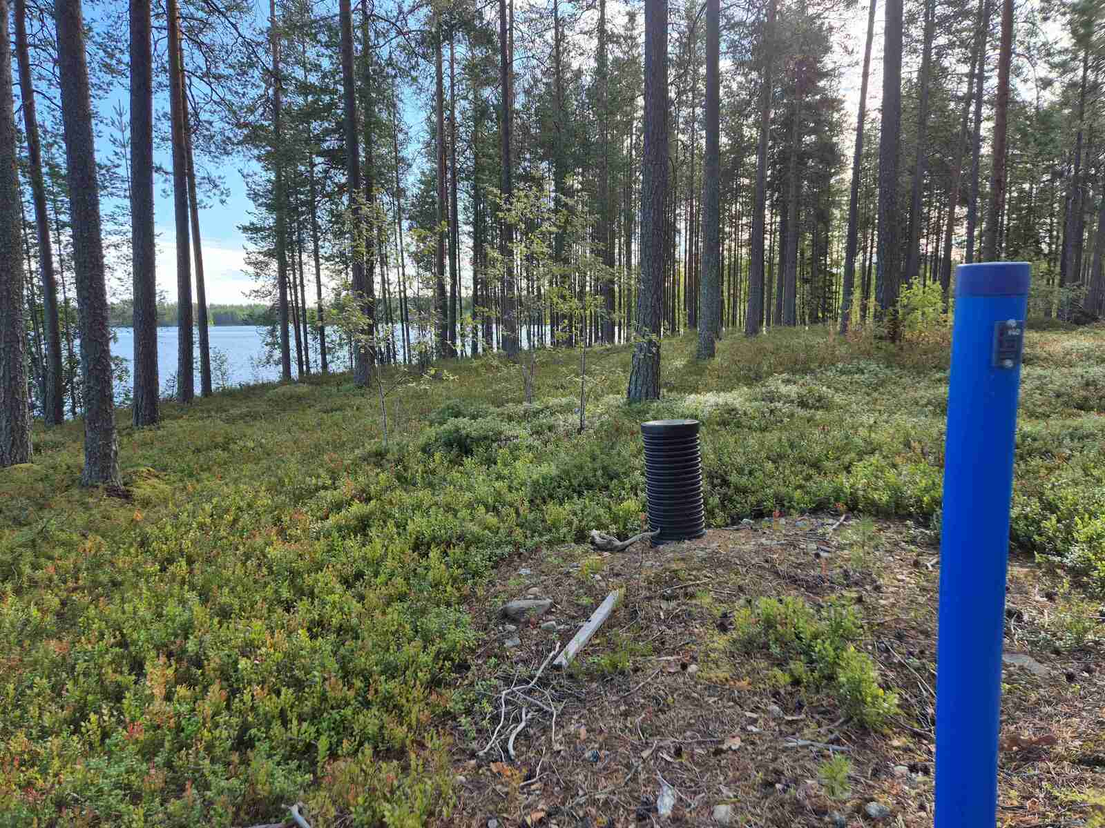 Tontin kunnallistekniikkaa rannan läheisyydessä mäntymetsässä.