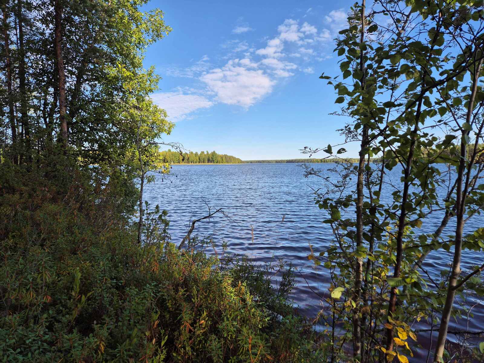 Tuulessa kevyesti aaltoileva järvi, vastarannalle paistaa aurinko.