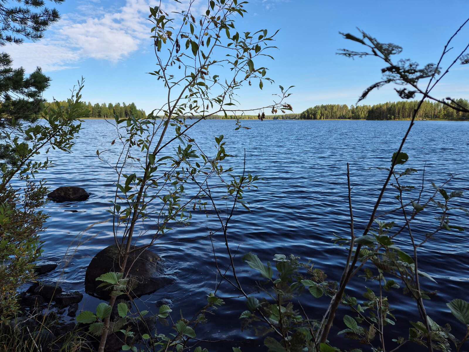 Rantavedessä on kookkaita kiviä, pienet lehtipuut työntyvät rannalta maisemaan.