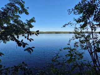 Maisema järvelle, lähes pilvetön taivas, pihlajat reunustavat kuvaa.