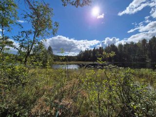 Maisema rannalta järvelle, ranta on ryteikköinen ja järvessä on paljon vesikasvillisuutta.