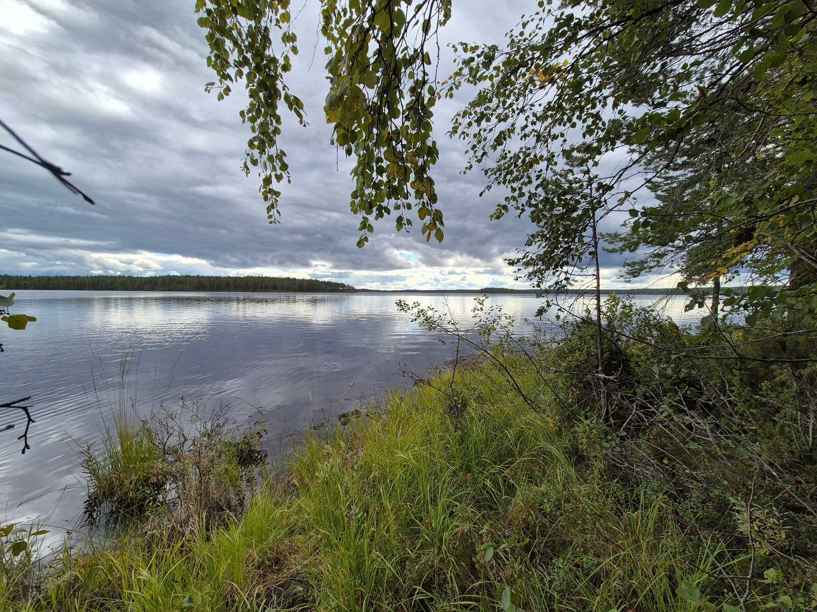 Tyynen järven pinnasta heijastuvat taivaan harmaat pilvet, rannassa on paljon heinikkoa.