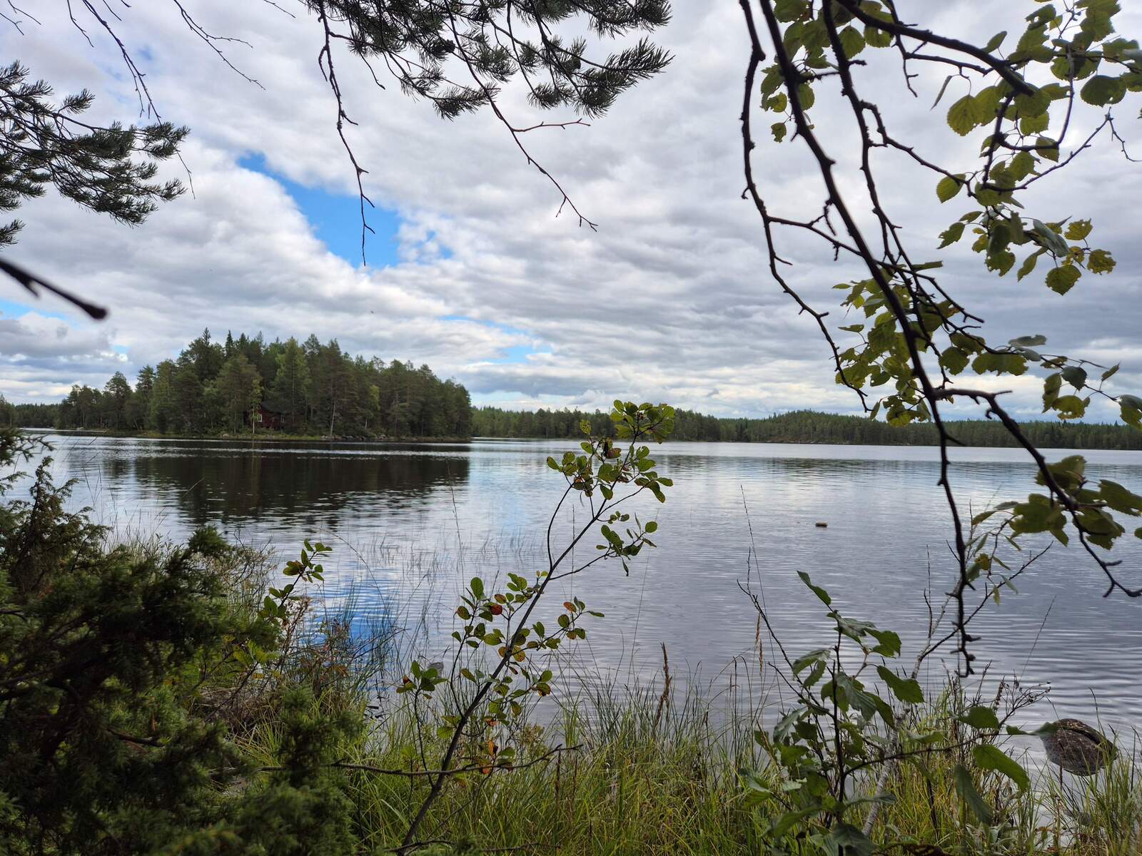 Maisema järvelle, etualalla puunoksat työntyvät kuvaan.