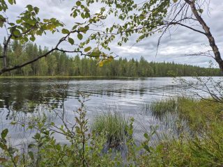 Kapea salmi, vastaranta on lähellä, rannan edustalla on paljon ruovikkoa.