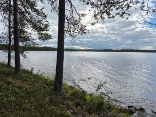 Maisema järvelle pilvisenä päivänä, muutama mänty kasvaa rannalla, rantavedessä on kiviä.