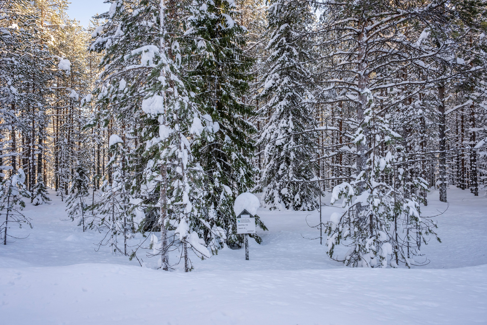 Kuva tieltä päin tontille.