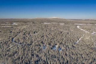 Ilmakuva tontista.