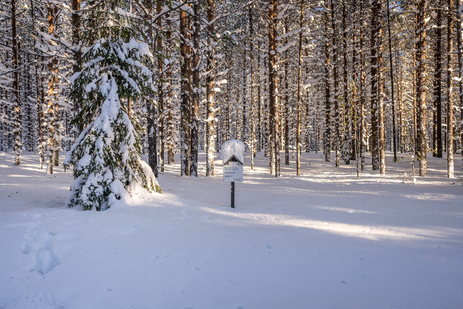 Kuva tieltä tontille päin.