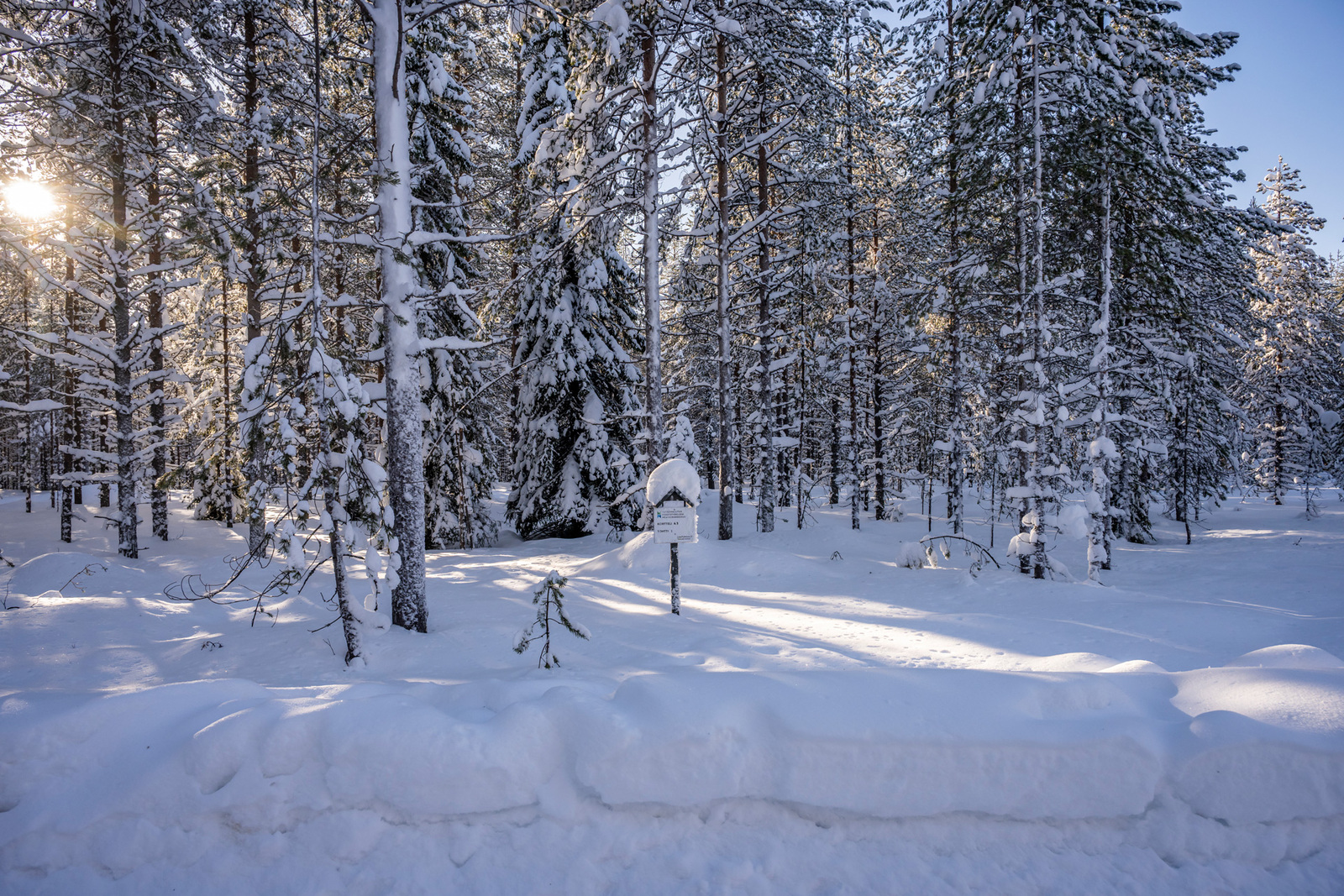 Kuva tieltä tontille päin.