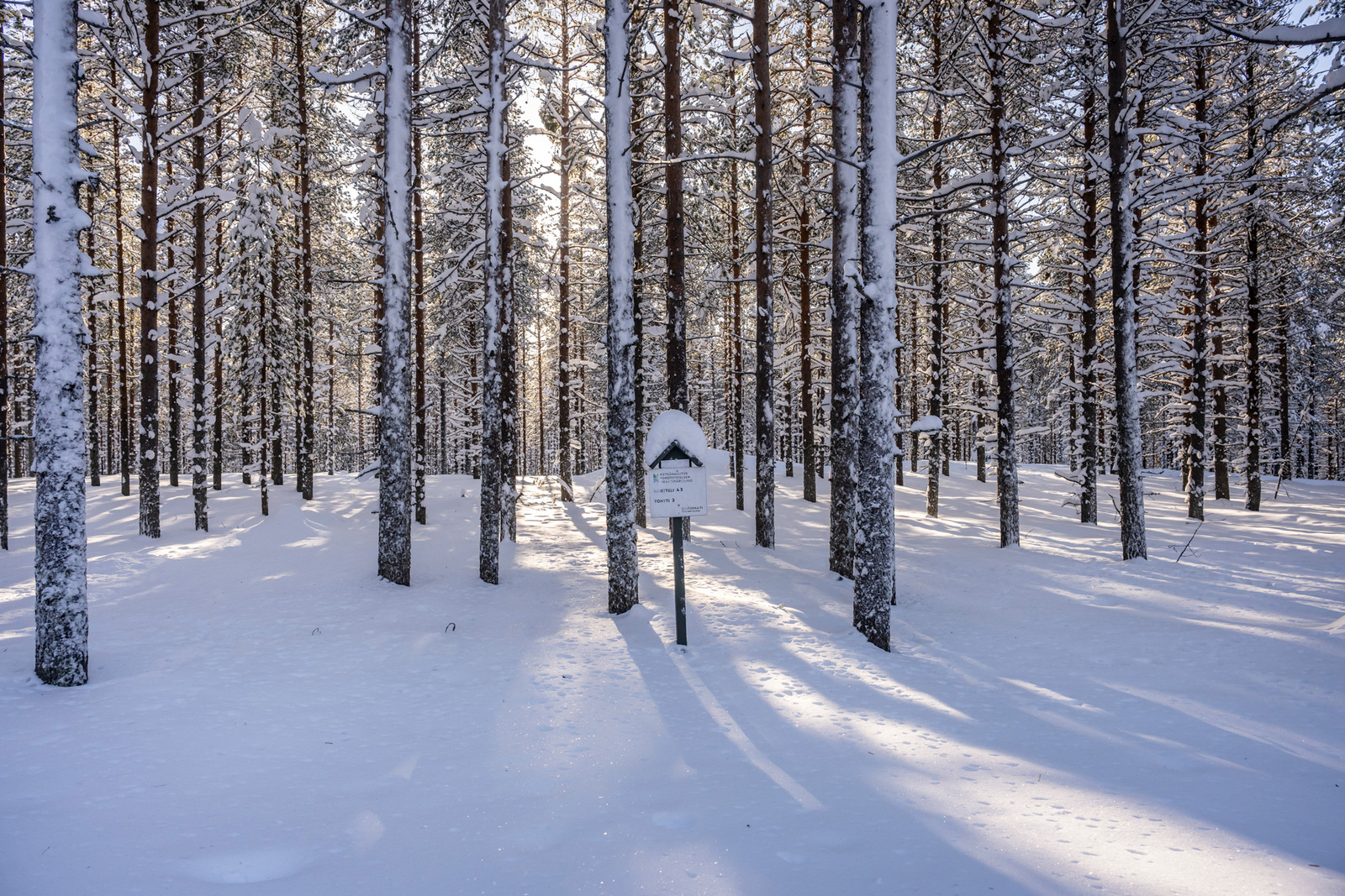 Kuva tieltä tontille päin.