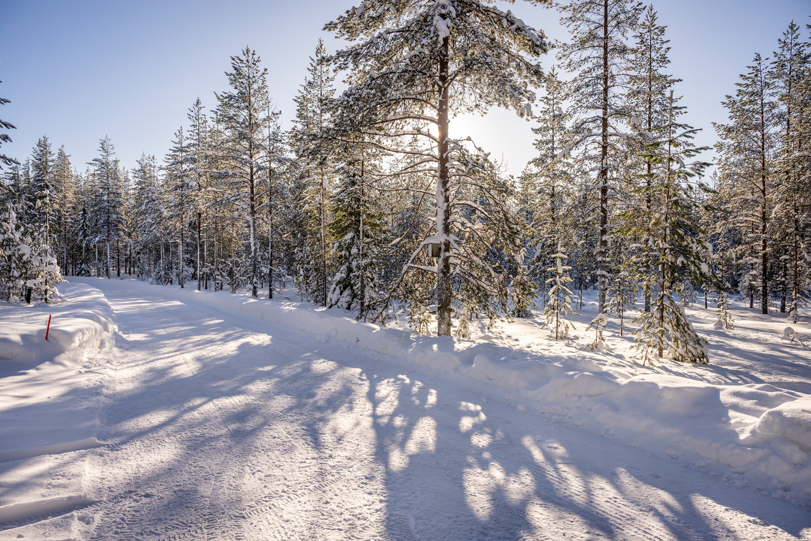 Talvinen tie.
