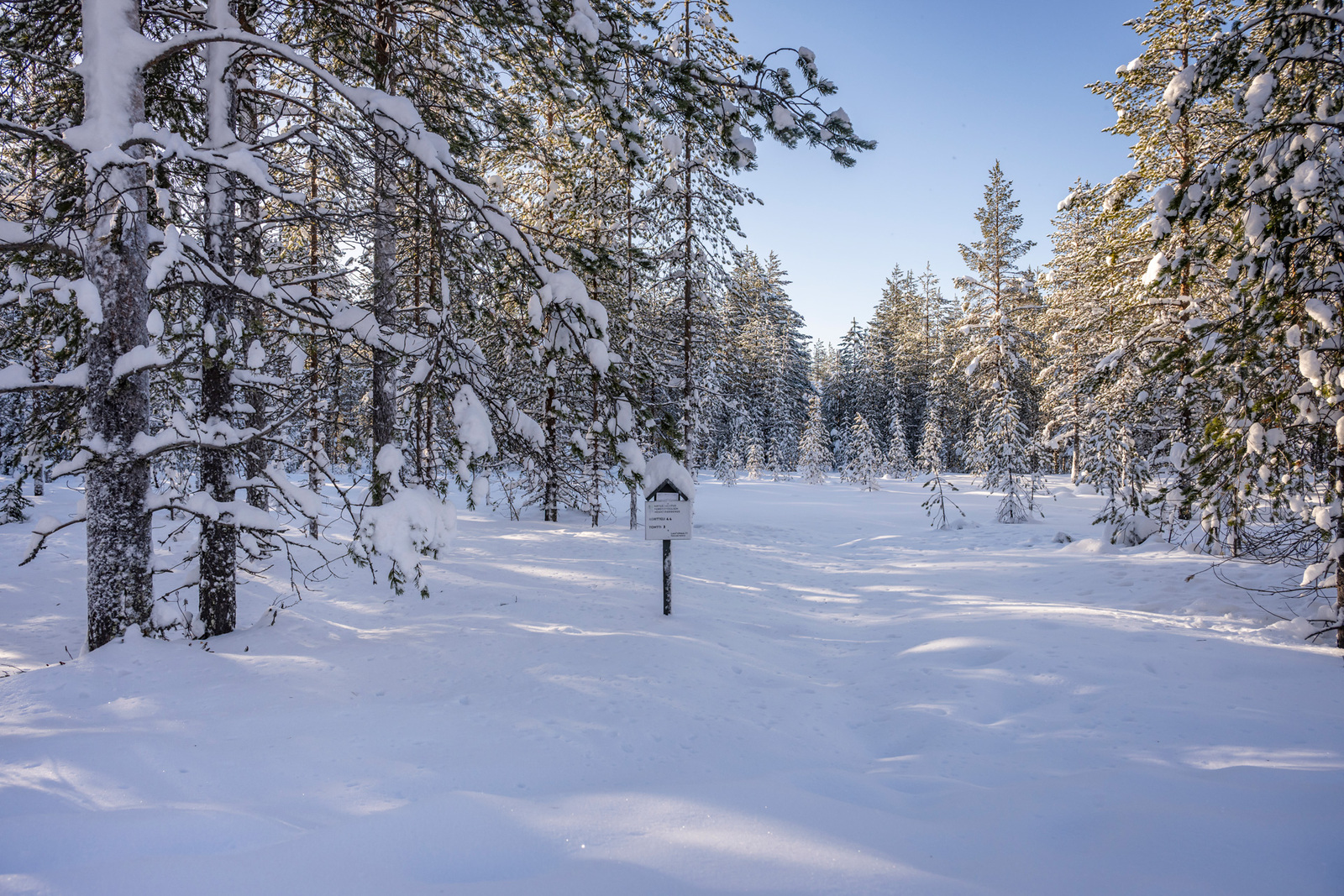 Kuva tontista tieltä päin.