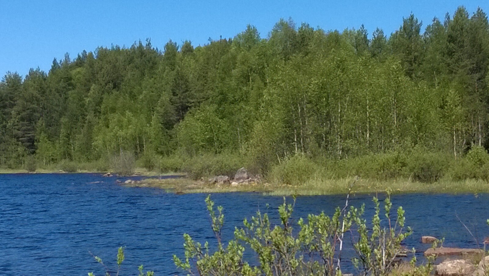 Vehreä sekametsä reunustaa järveä kesämaisemassa.