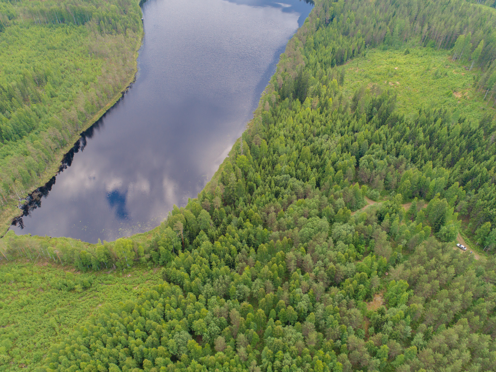 Tie haarautuu kesäisessä metsässä, joka reunustaa järveä. Poutapilvet heijastuvat veteen. Ilmakuva.