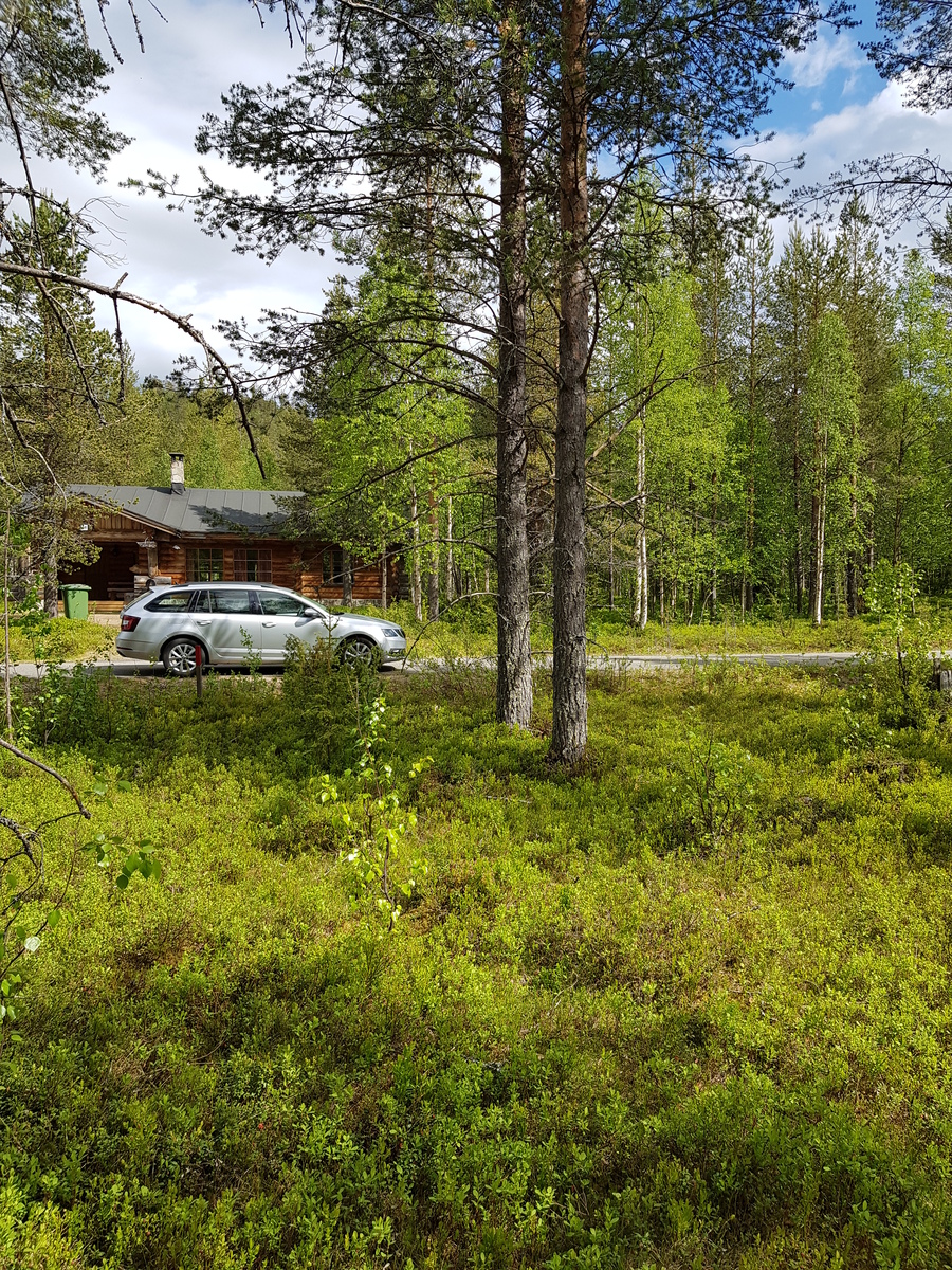 Avaran sekametsän läpi kulkevalla tiellä on auto, jonka takana on hirsimökki.