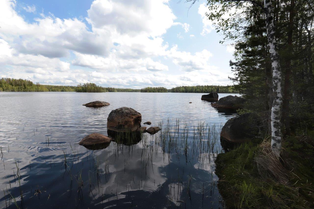 Puiden oksat reunustavat kesäistä järvimaisemaa. Rantavedessä on kiviä ja taivas heijastuu veteen.