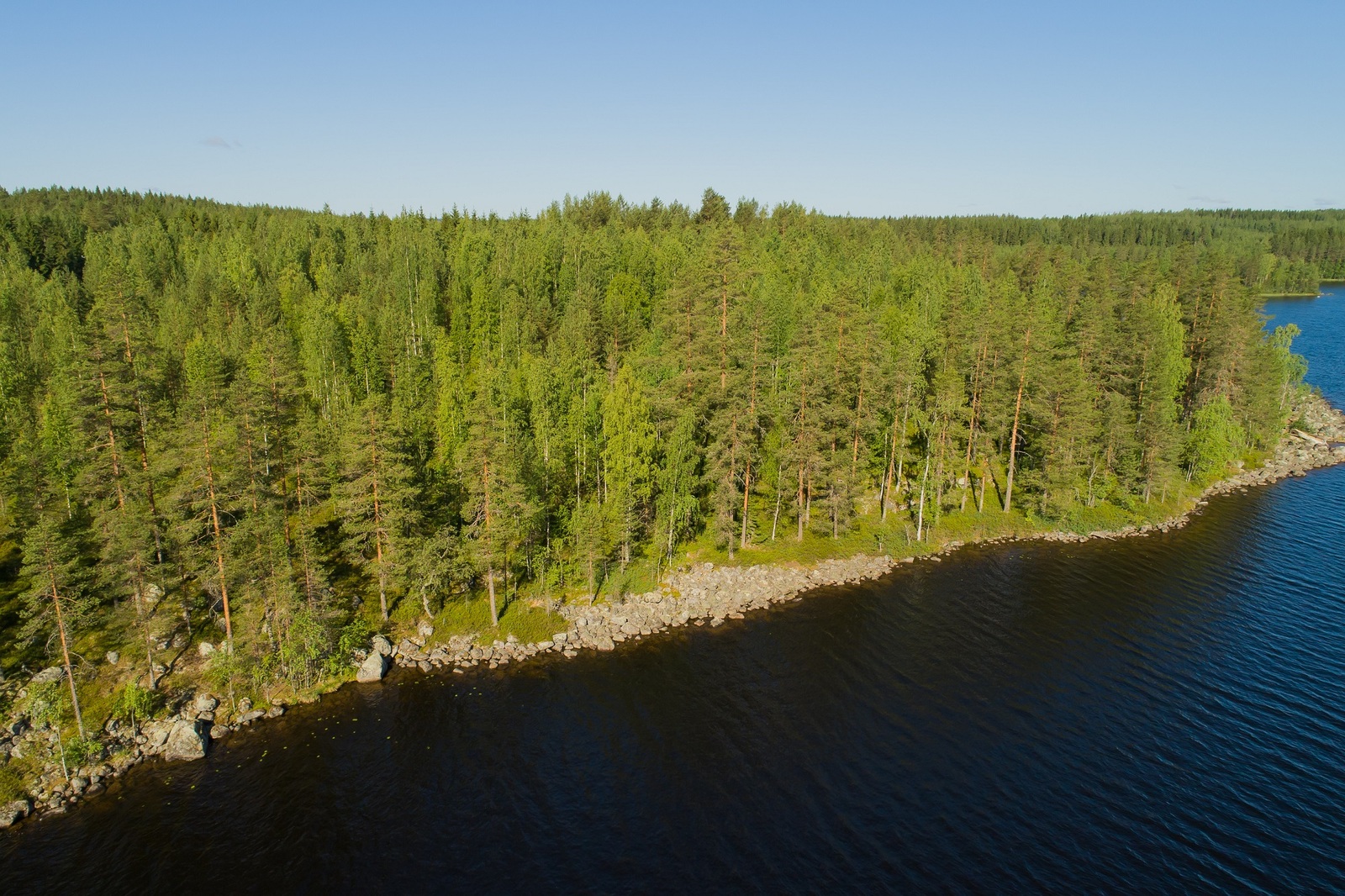 Järvimaisemassa aurinko paistaa kivikkoisesta rantaviivasta alkavaan sekametsään. Ilmakuva.