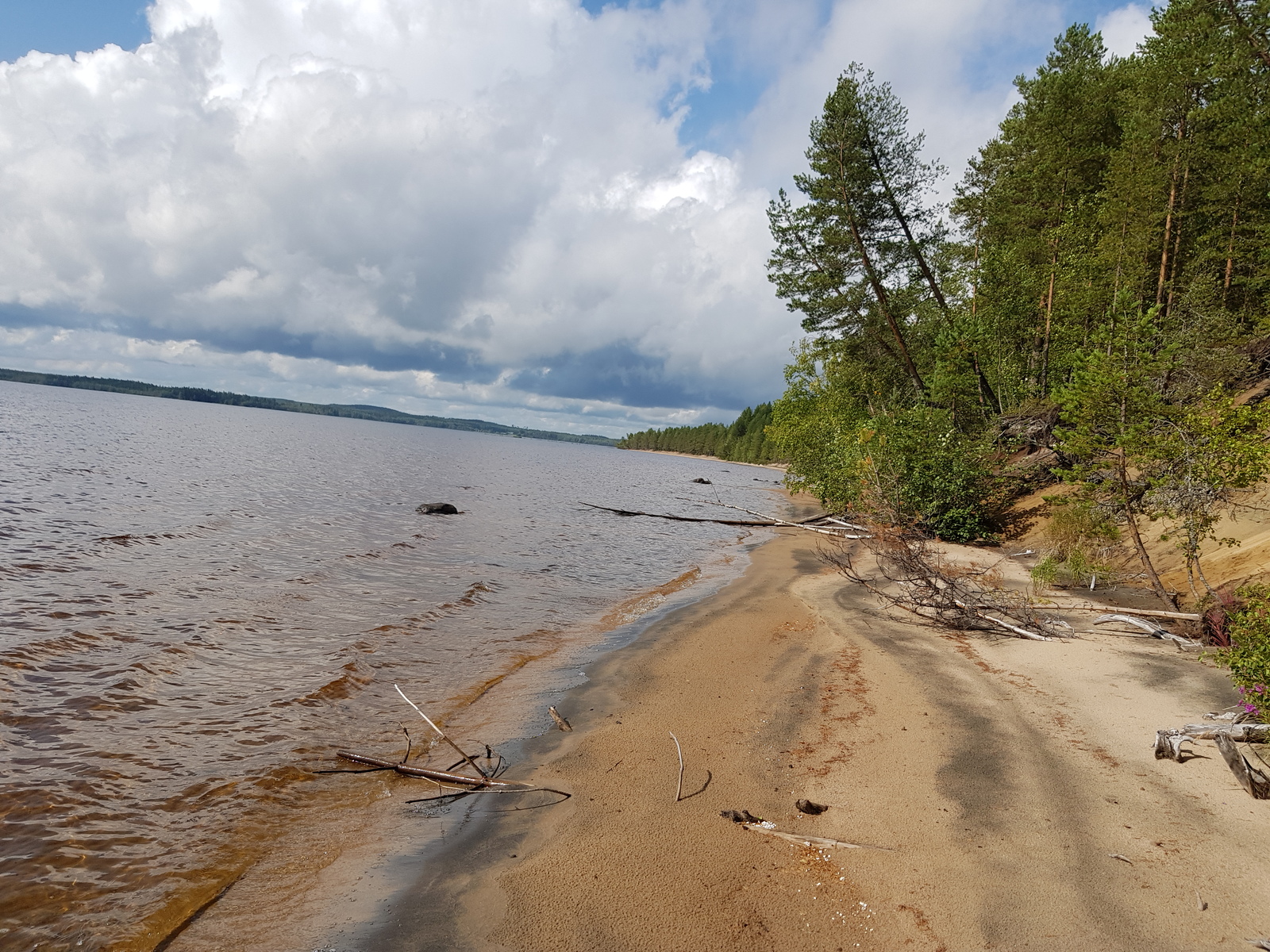 Kesäisessä järvimaisemassa hiekkarantaa reunustaa rantatörmällä kasvava mäntymetsä.