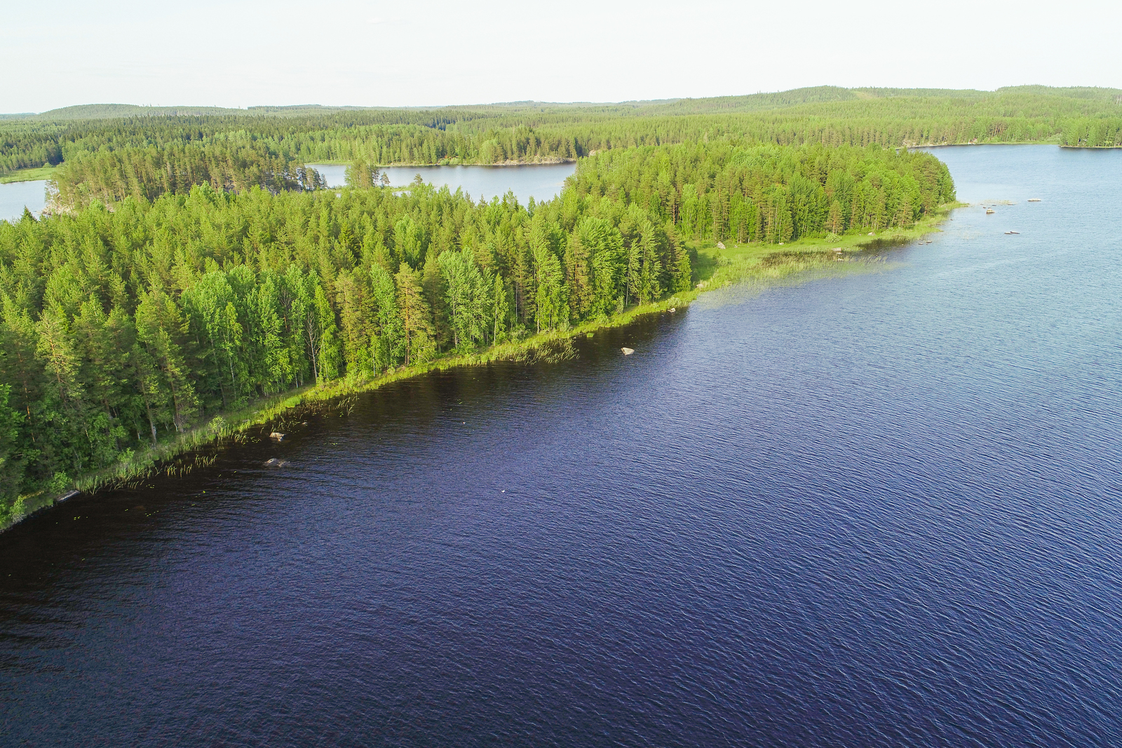 Laaja vesistö ympäröi pitkulaista saarta, jossa kasvaa kesäinen sekametsä. Ilmakuva.