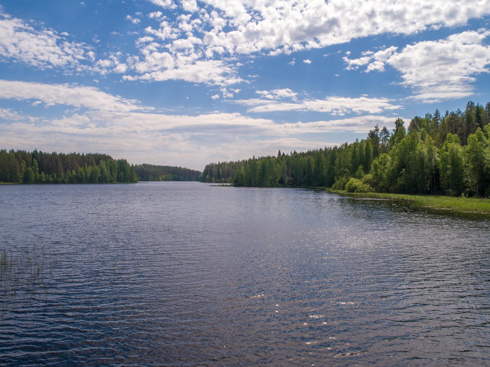 Kesämaisemassa järvenselkä jatkuu kohti horisonttia. Sekametsät ympäröivät järveä.