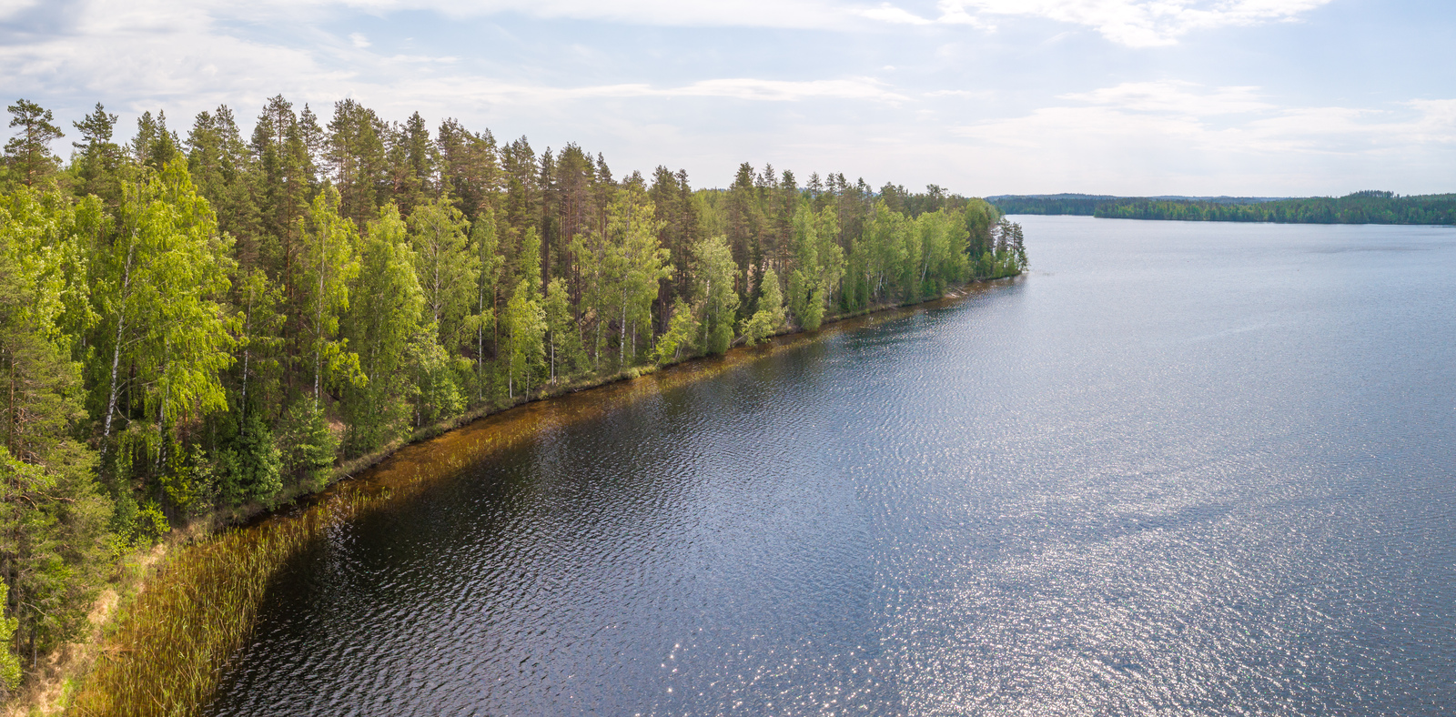 Kesäisessä järvimaisemassa rantaviivassa kasvaa lehtimetsä ja vesi kimmeltää auringossa. Ilmakuva.